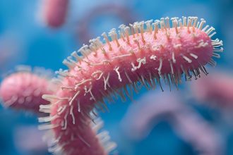 Bacterias que conforman la microbiota intestinal y que pueden modular la respuesta al tratamiento de quimioterapia